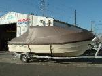 Boat Cover
